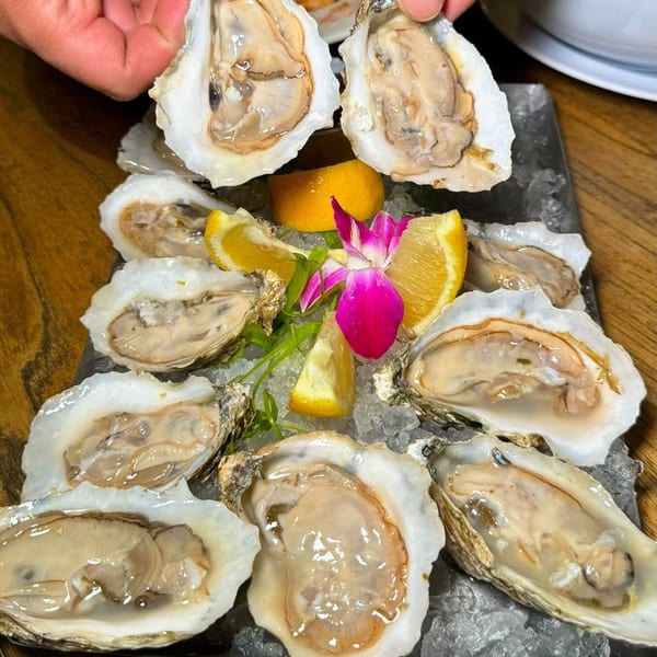Fresh oysters on the half shell with lemon wedges and a pink orchid on a bed of ice.