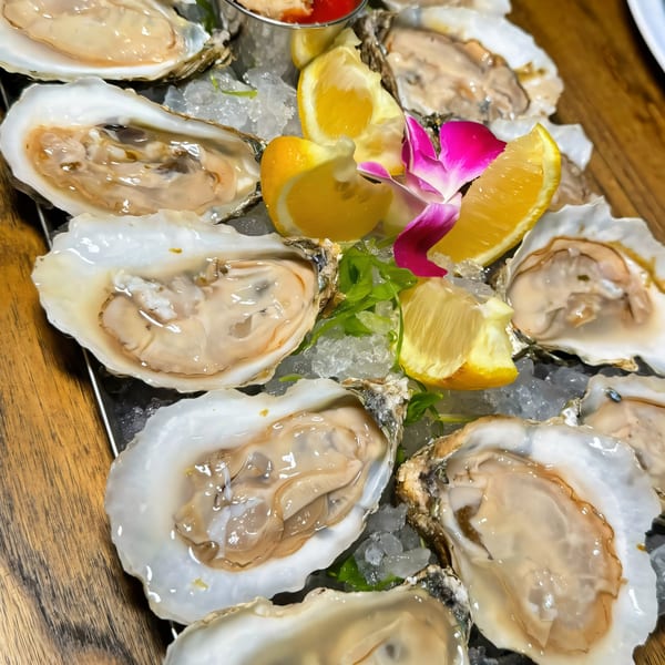 Fresh oysters on a bed of ice with lemon wedges, cocktail sauce, and a pink orchid.