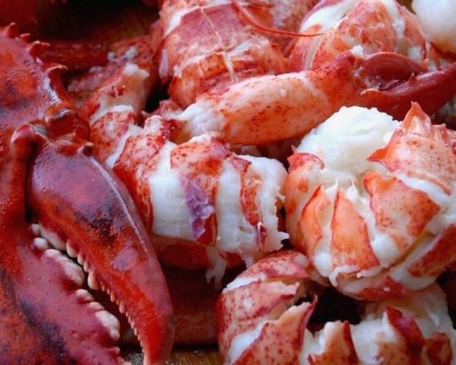 Lobster Meat